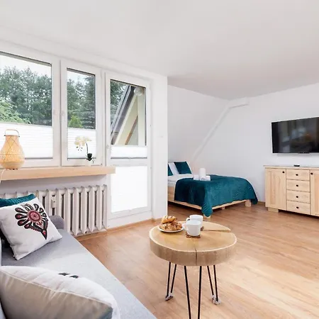 Pardalowka Mountain View By Renters * 자코파네